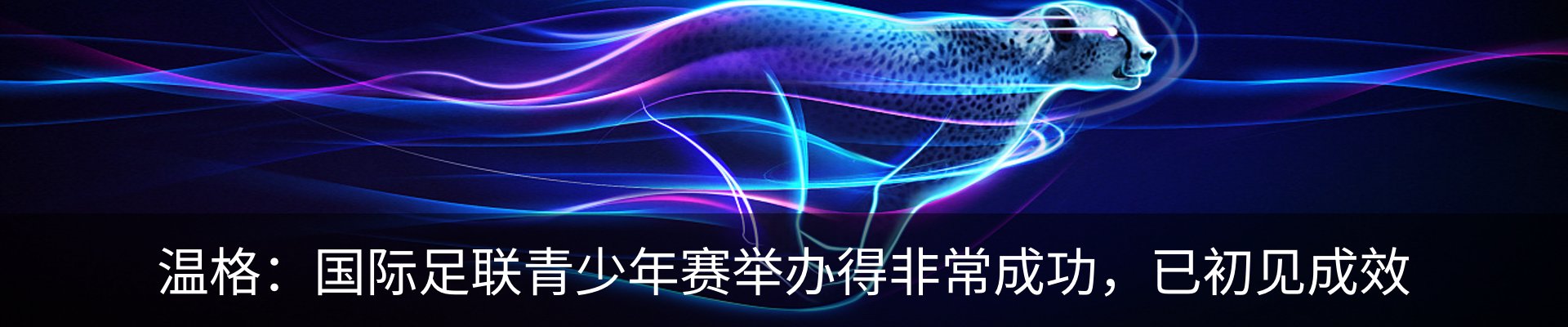 新闻动态